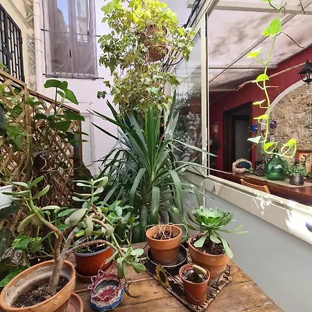 Alberto's Guest house Palermo